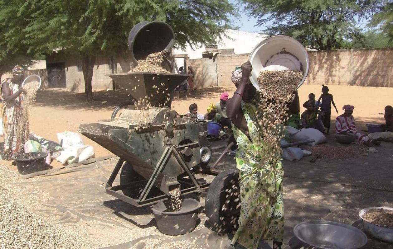 Saint-Louis : le projet Biostar révolutionne l’autonomie énergétique des PME agroalimentaires grâce aux bioénergies