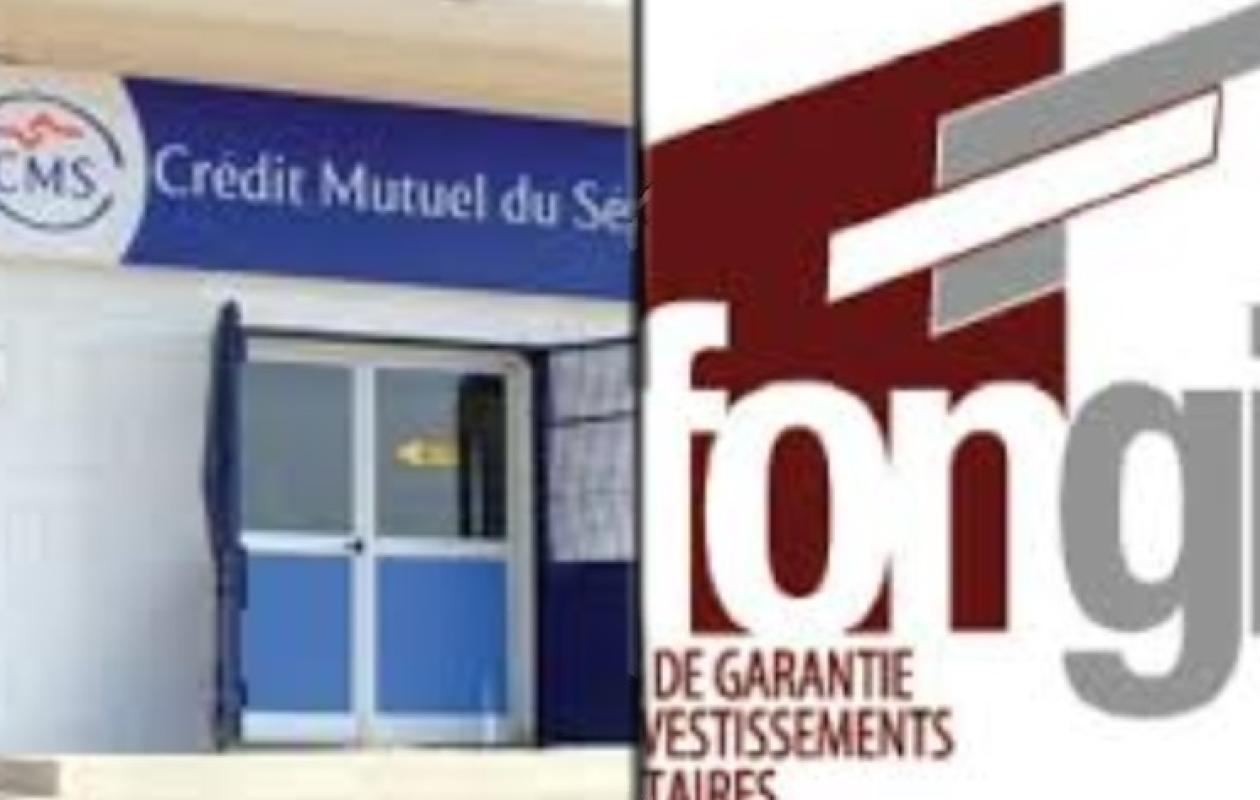 FONGIP-Crédit mutuel du Sénégal : bras de fer autour de 1,5 milliard F CFA