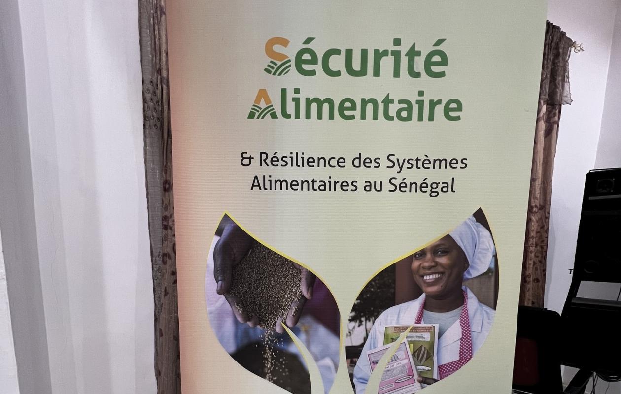 Sécurité alimentaire : Chercheurs, experts, décideurs et partenaires fédèrent leurs efforts autour des chaînes de valeur des céréales sèches