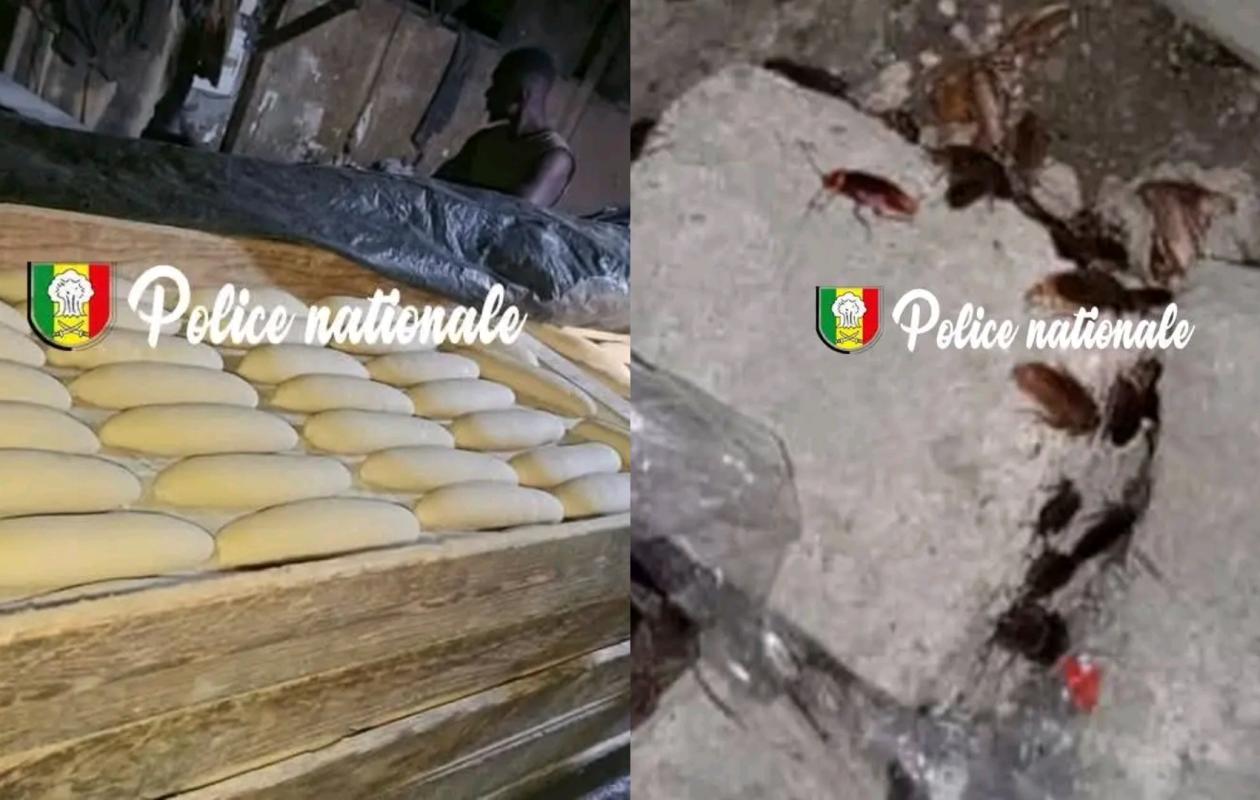 Grand-Yoff : Démantèlement d'une boulangerie clandestine aux conditions d'hygiène exécrables