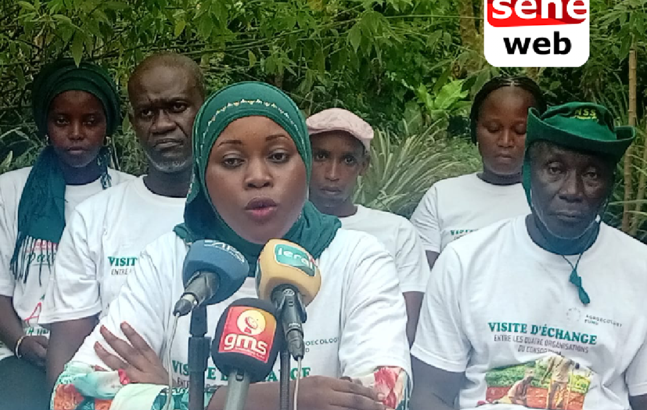 Transition agroécologique : Des organisations paysannes de femmes de la Guinée-Bissau, de Kolda et de Ziguinchor partagent leurs expériences