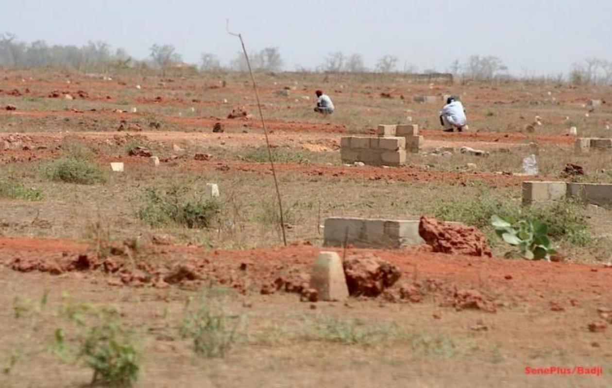 Public project blocked in Pointe Sarène: The farmer refuses... | Seneweb