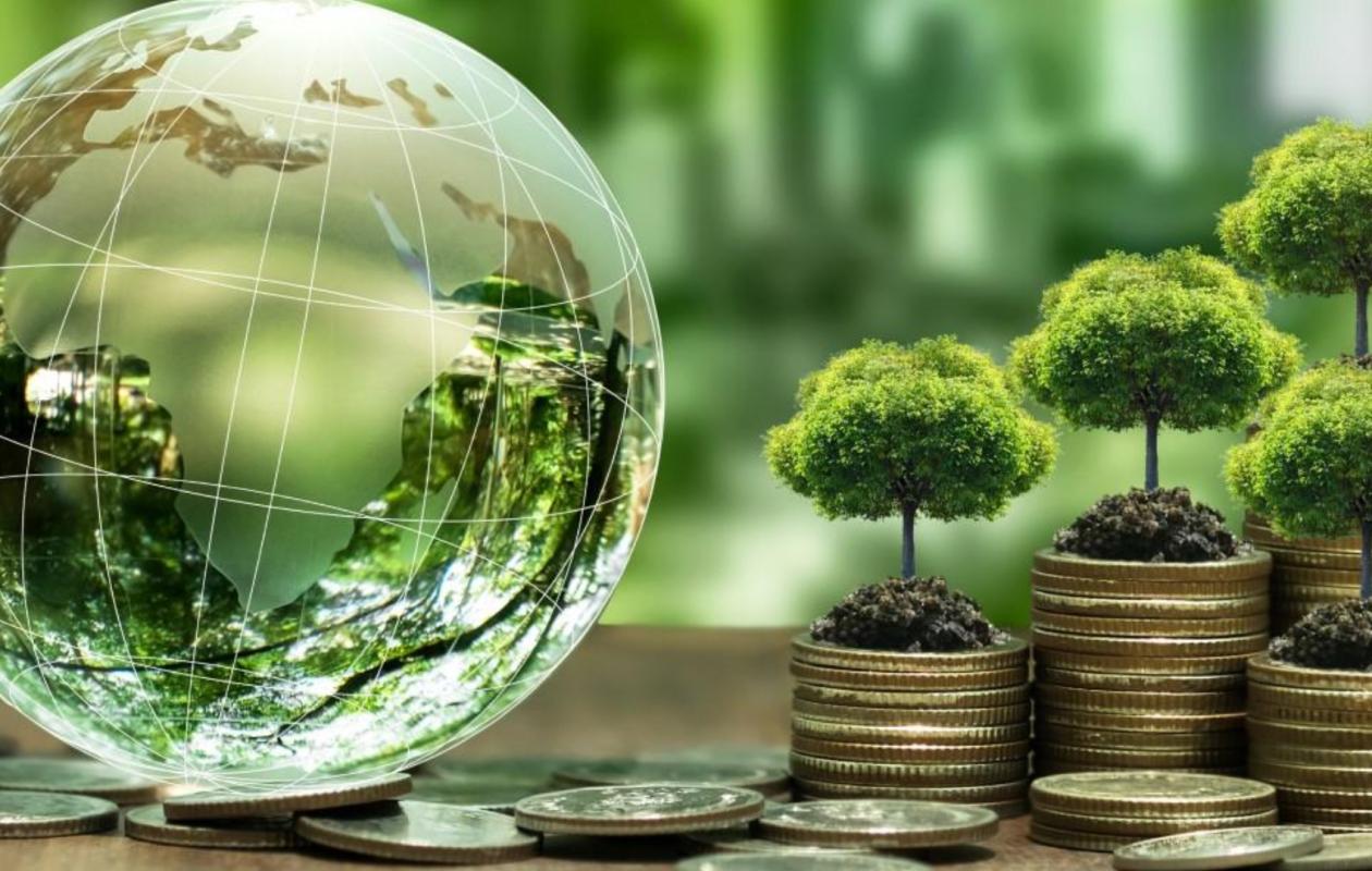 L’essor du financement vert africain, entre rigueur et dépendance