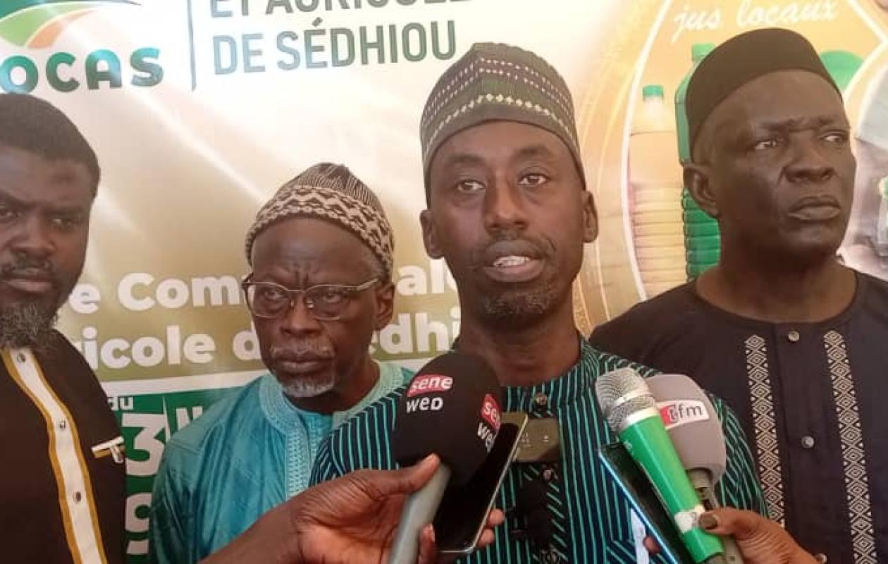 Campagne agricole : Des rendements exceptionnels attendus à Sedhiou (DRDR)