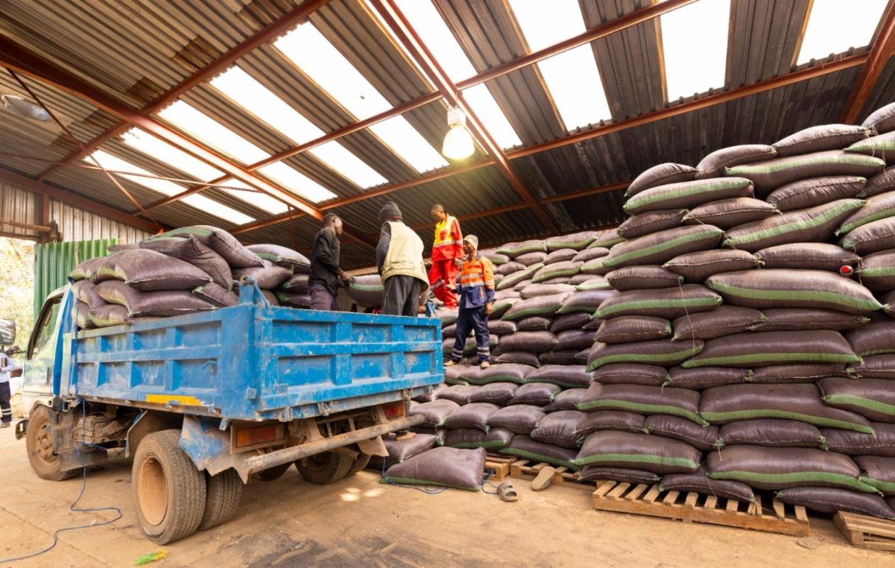 Signature d’accord : Les meuniers s’engagent à acheter 25 mille tonnes de maïs local pour booster la filière