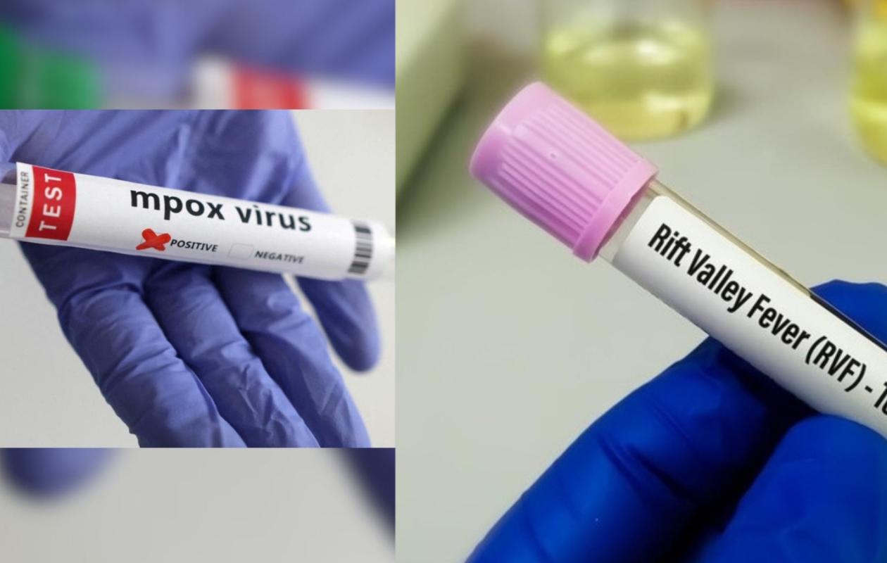 Situation épidémiologique : Le point sur la fièvre de la vallée du Rift et le Mpox