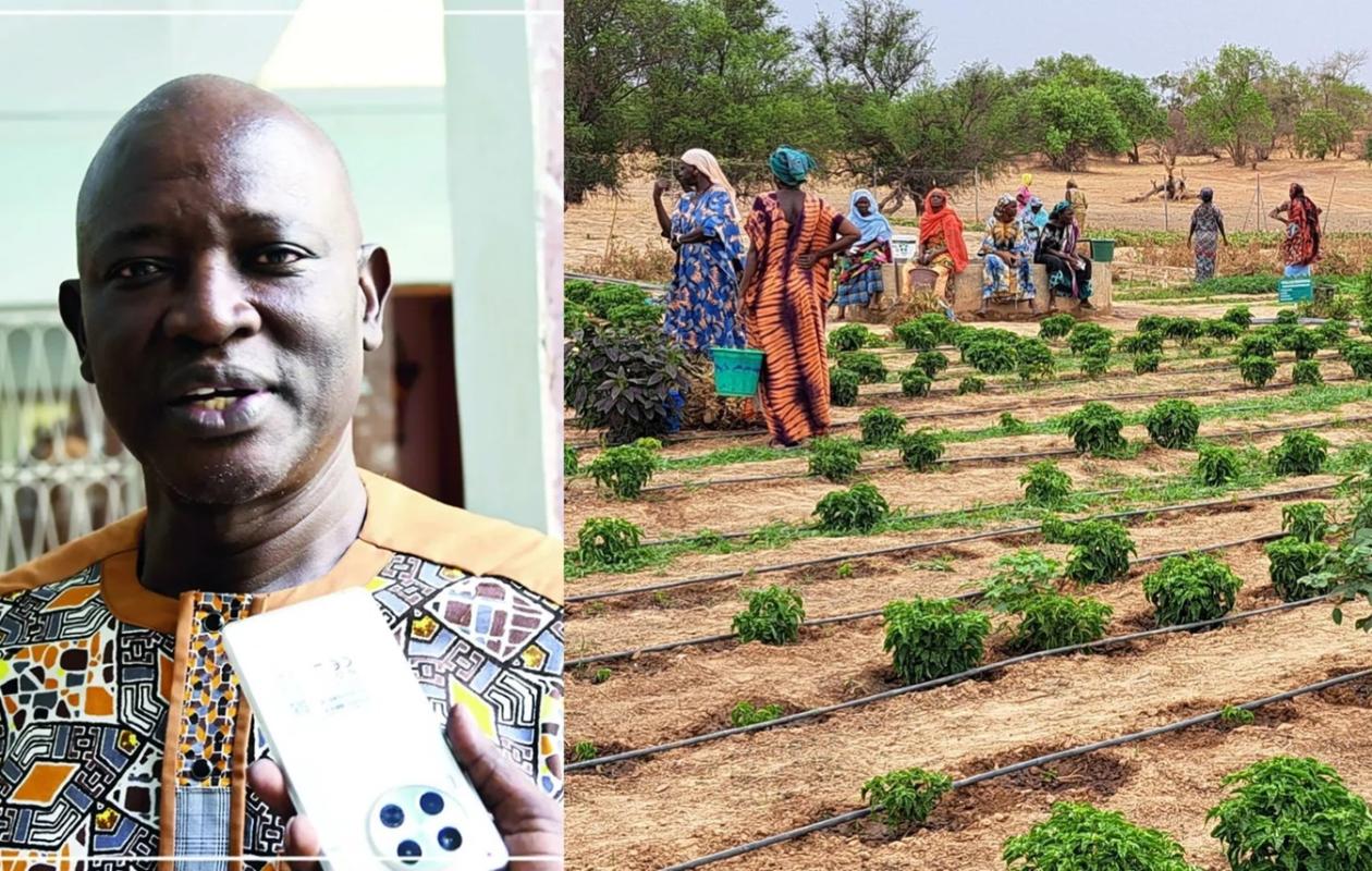 Agriculture : les sols sénégalais sont malades, voici les causes et les remèdes