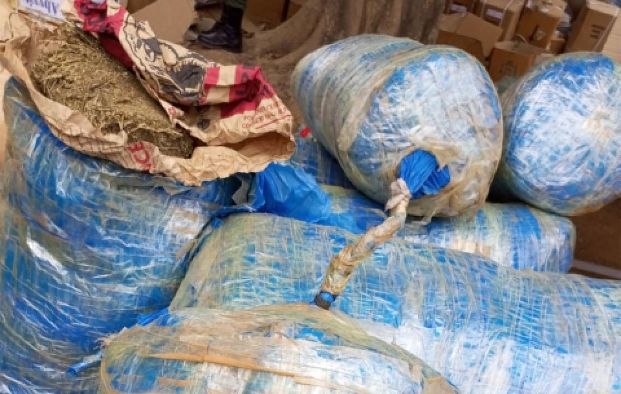 Diofior : une pirogue transportant 207 kg de chanvre indien interceptée lors d’une opération nocturne