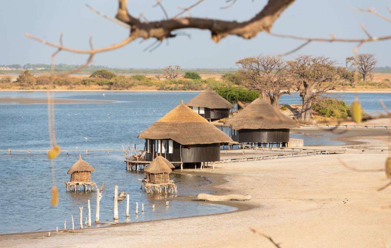 Cri d'alarme au Cap Skirring : Enclavement, blackout aérien... La Casamance perd ses touristes et ses emplois