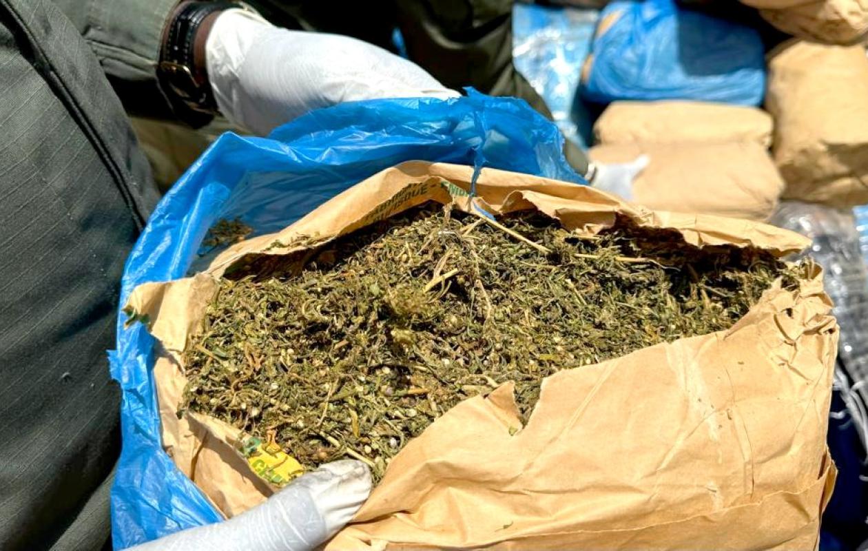 Kaolack : un menuisier et un boutiquier arrêtés par la police avec 1 kg de chanvre indien