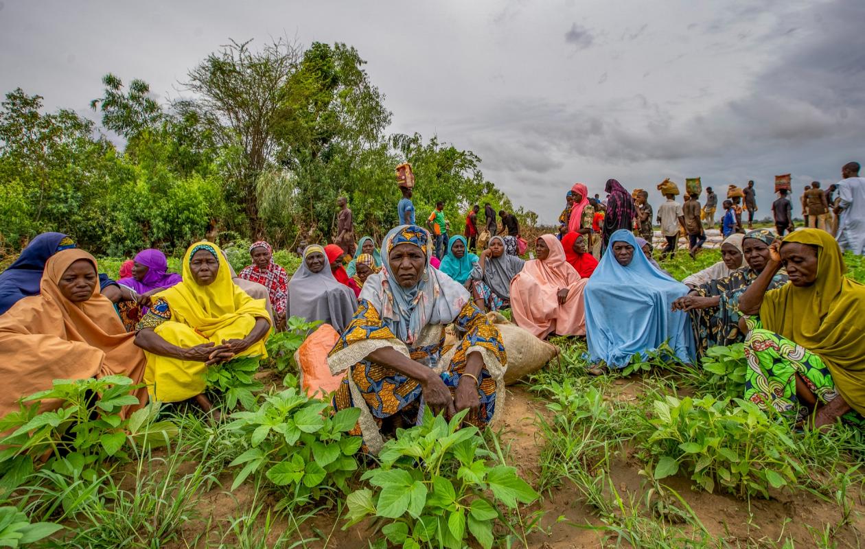 Dakar, Abidjan, Lagos : les métropoles à l’épreuve de la sécurité alimentaire