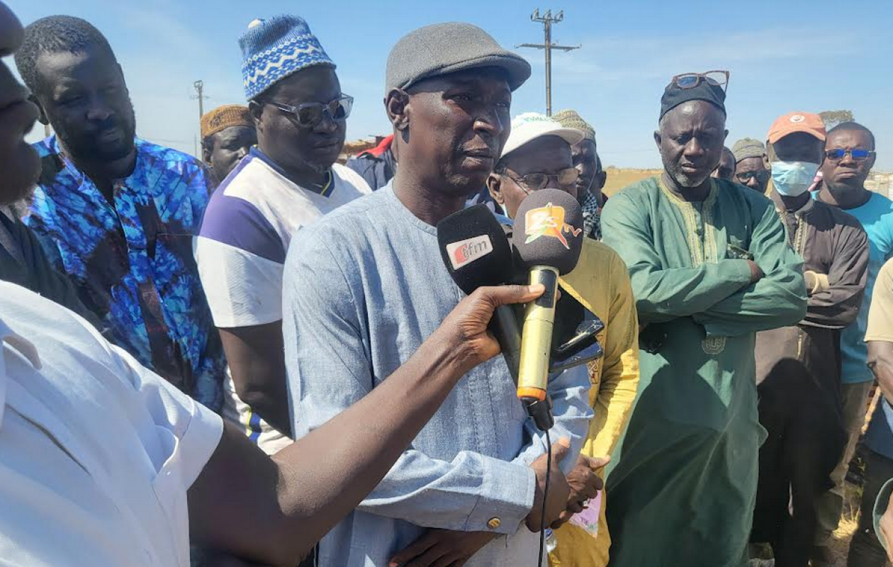 Kaolack : Les producteurs agricoles pour la suppression des mesures entravant l’exportation de la graine de l’arachide
