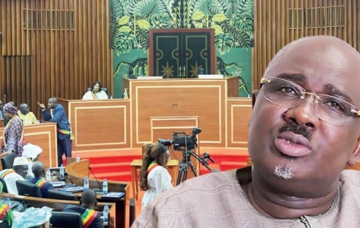 "Laissez Farba Ngom rentrer chez lui" : Une parlementaire dénonce un acharnement judiciaire