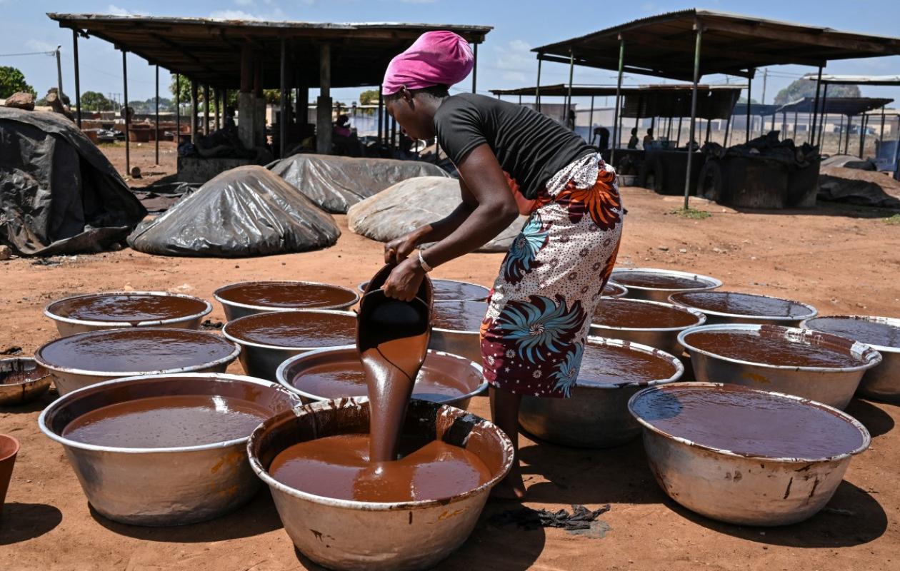 "Du jamais vu": dans le nord de la Côte d'Ivoire, la filière karité sous tension