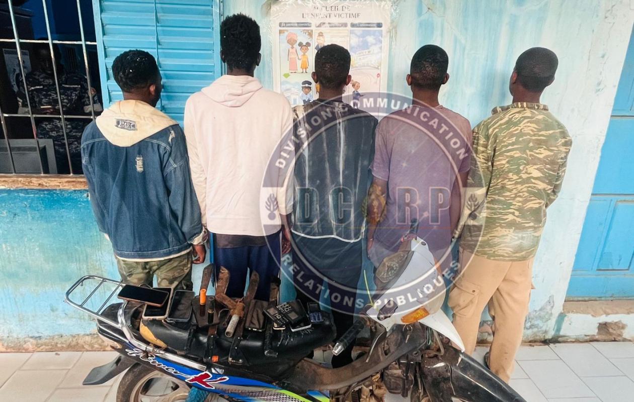 Lutte contre le vol de bétail à Diamniadio : 5 malfaiteurs arrêtés par la gendarmerie, des armes et des munitions saisies