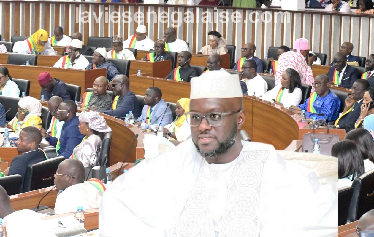 El Malick Ndiaye : « Cette législature marque une rupture historique dans la pratique parlementaire »