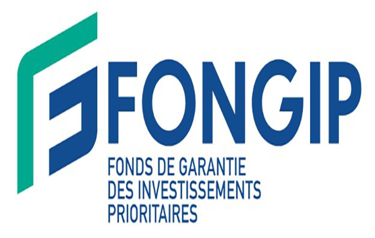 Le FONGIP : Un Soutien Majeur pour les Projets de la Diaspora Sénégalaise