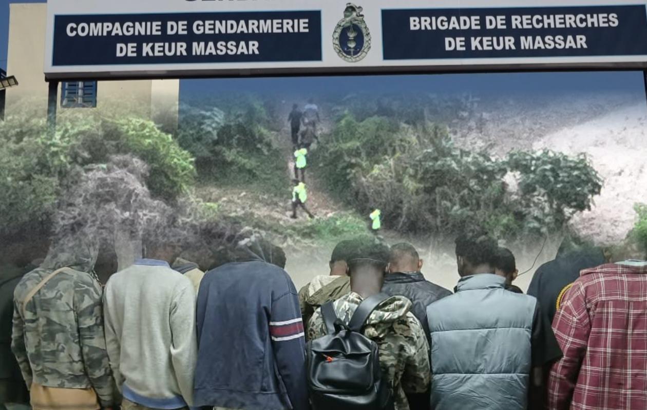 Série d'agressions dans la forêt de Keur Massar : 15 malfaiteurs arrêtés par la BR