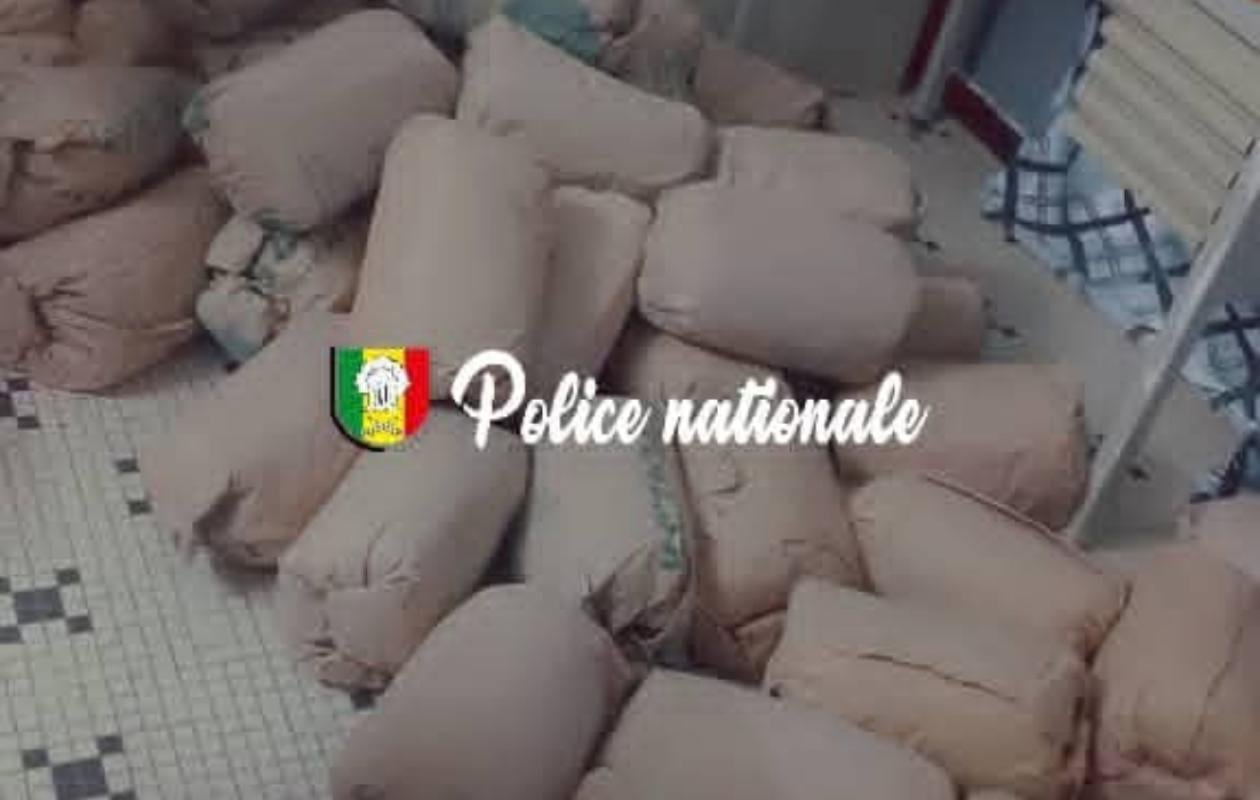 ZIGUINCHOR : 50 kg de chanvre indien saisis par la police, un individu arrêté