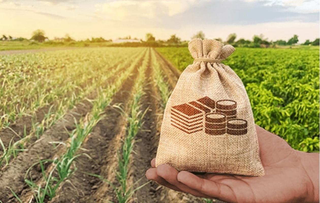 La terre africaine sous le poids des capitaux