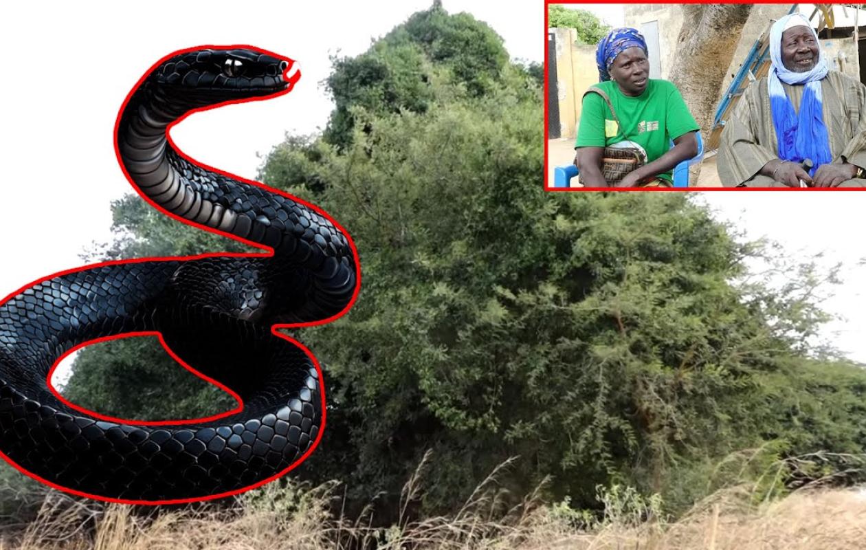 [Découverte] Dans les mystères de Mar Soulou: l'île aux lois invisibles qui fait peur aux autorités