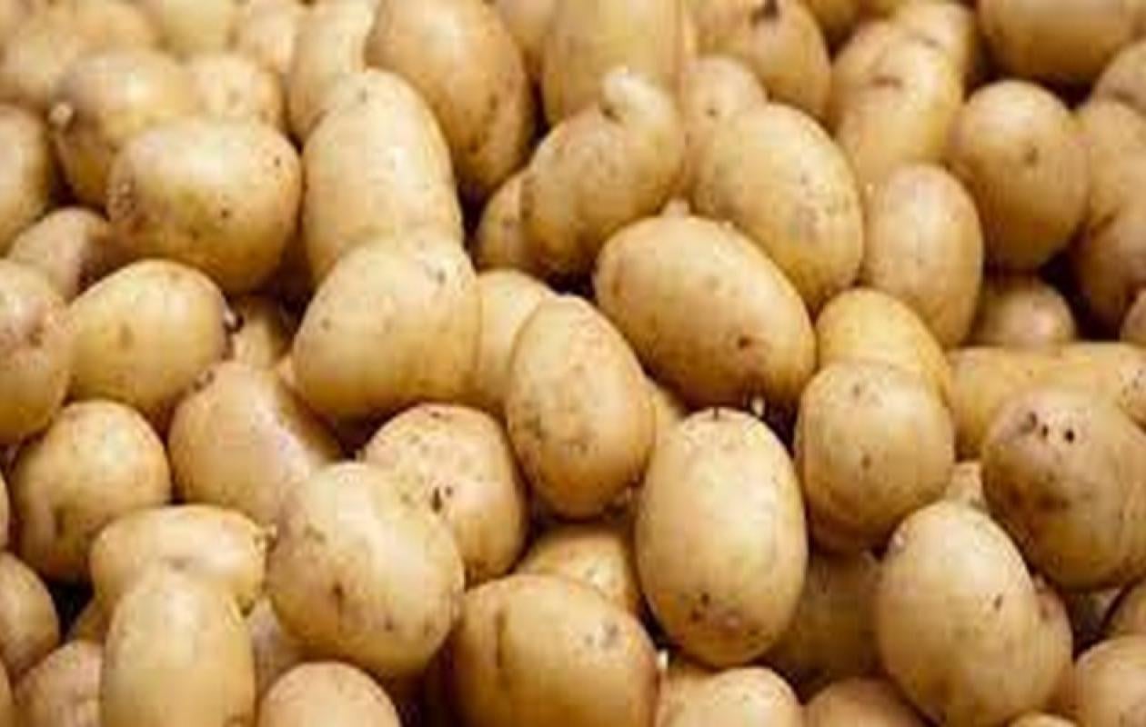 Thiès : pénurie de pommes de terre en pleine fête de Noël