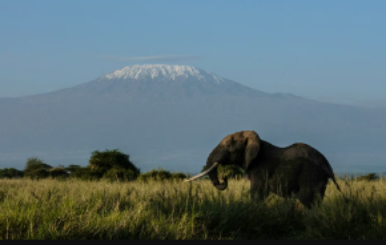 Un hélicoptère s’écrase sur le Kilimandjaro: cinq morts