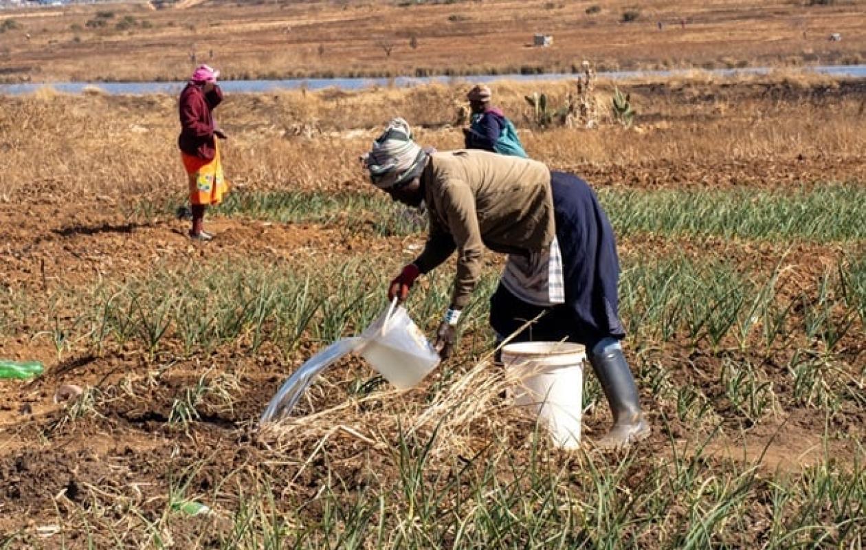 Le rôle des femmes dans la stabilité macroéconomique