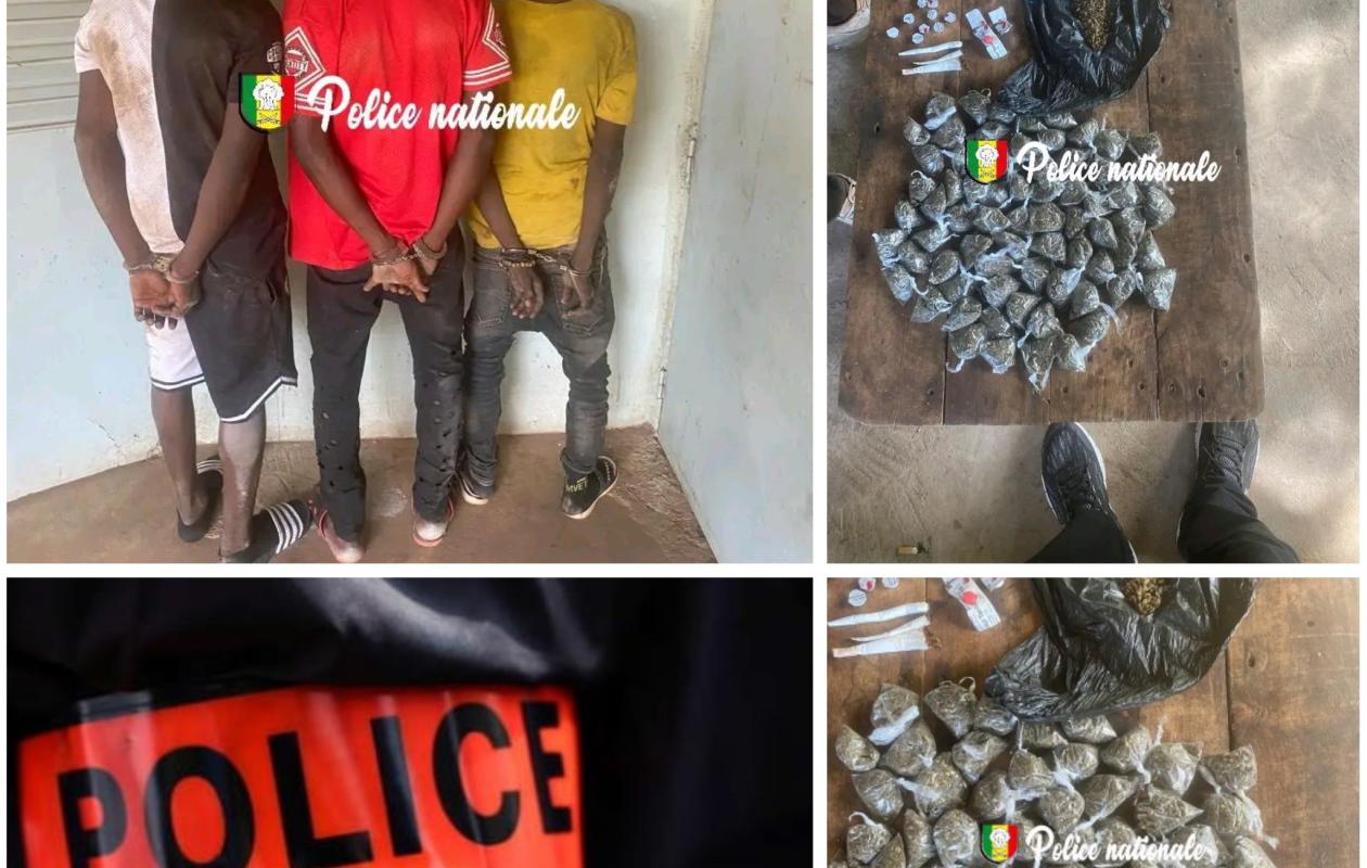 Fatick-Diourbel-Tambacounda : L'OCRTIS frappe simultanément, trois trafiquants arrêtés