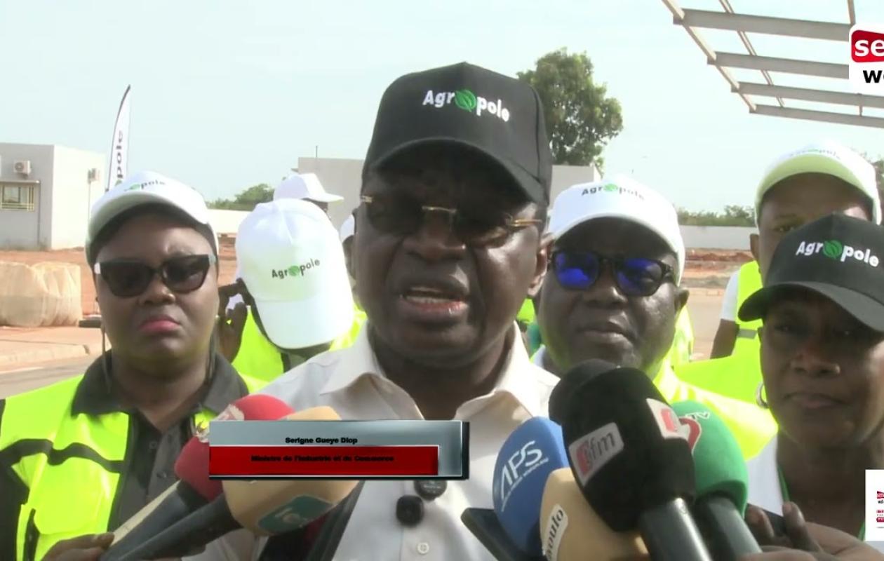 Casamance : L’Agropole Sud, futur hub industriel aux 50 000 emplois