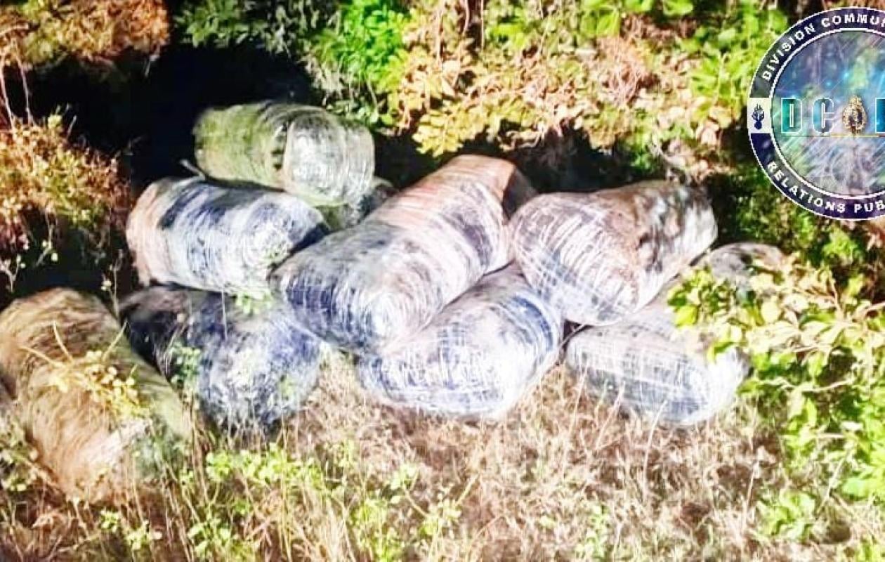 Mbour: La BR de Saly saisit 150 kg de chanvre indien en provenance de la Gambie, le propriétaire arrêté