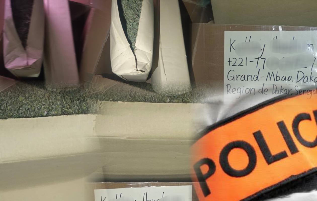 Saisie de 19,5 kg de kush : Un Guinéen arrêté à Grand Mbao , un projet de laboratoire de transformation déjoué