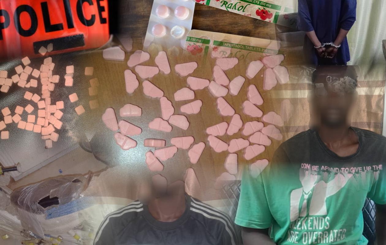 Cannabis, ecstasy et tramadol : L'OCRTIS frappe fort entre Touba, Mbacké, Fatick et Kédougou