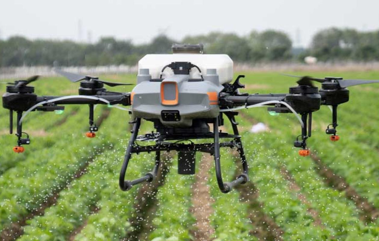 IA, drones, outils connectés… : comment les startups transforment l'agriculture sénégalaise, focus sur les «nouveaux types de paysans»
