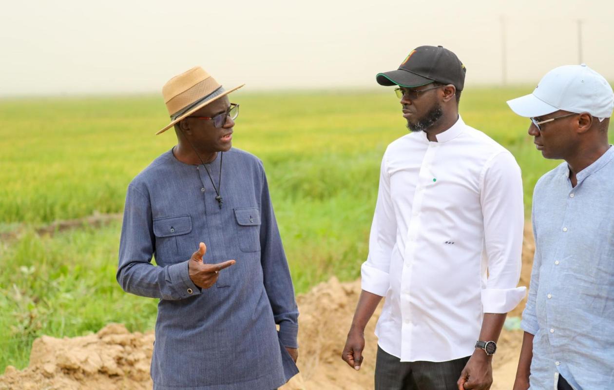 Politique agricole : Le président de la République appelle à une refondation structurelle du secteur