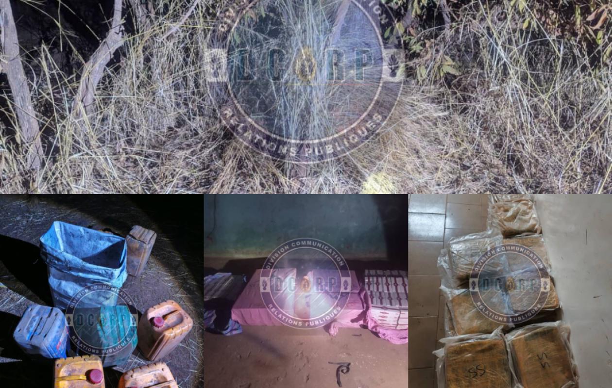 Kédougou : Plus de 62 kg de chanvre indien, 335 caisses de cigarettes et une moto saisis par la gendarmerie