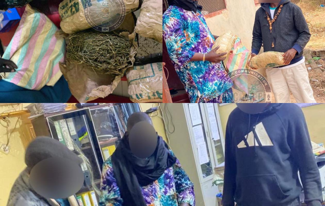 Nioro : les images de la drogue saisie après le démantèlement d’un réseau international par la gendarmerie