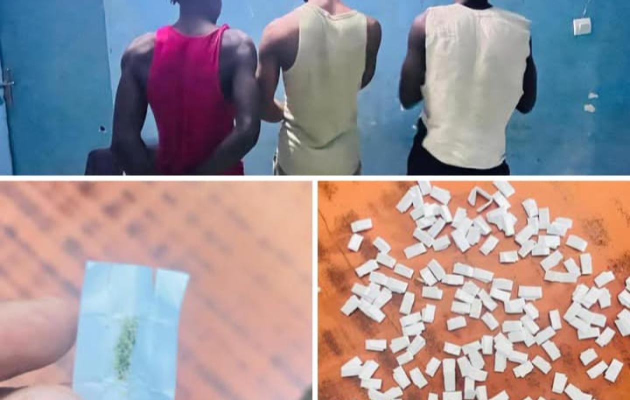 Trafic d'ecstasy ("souss") à Taïf : 45 comprimés saisis et 3 trafiquants arrêtés par la gendarmerie