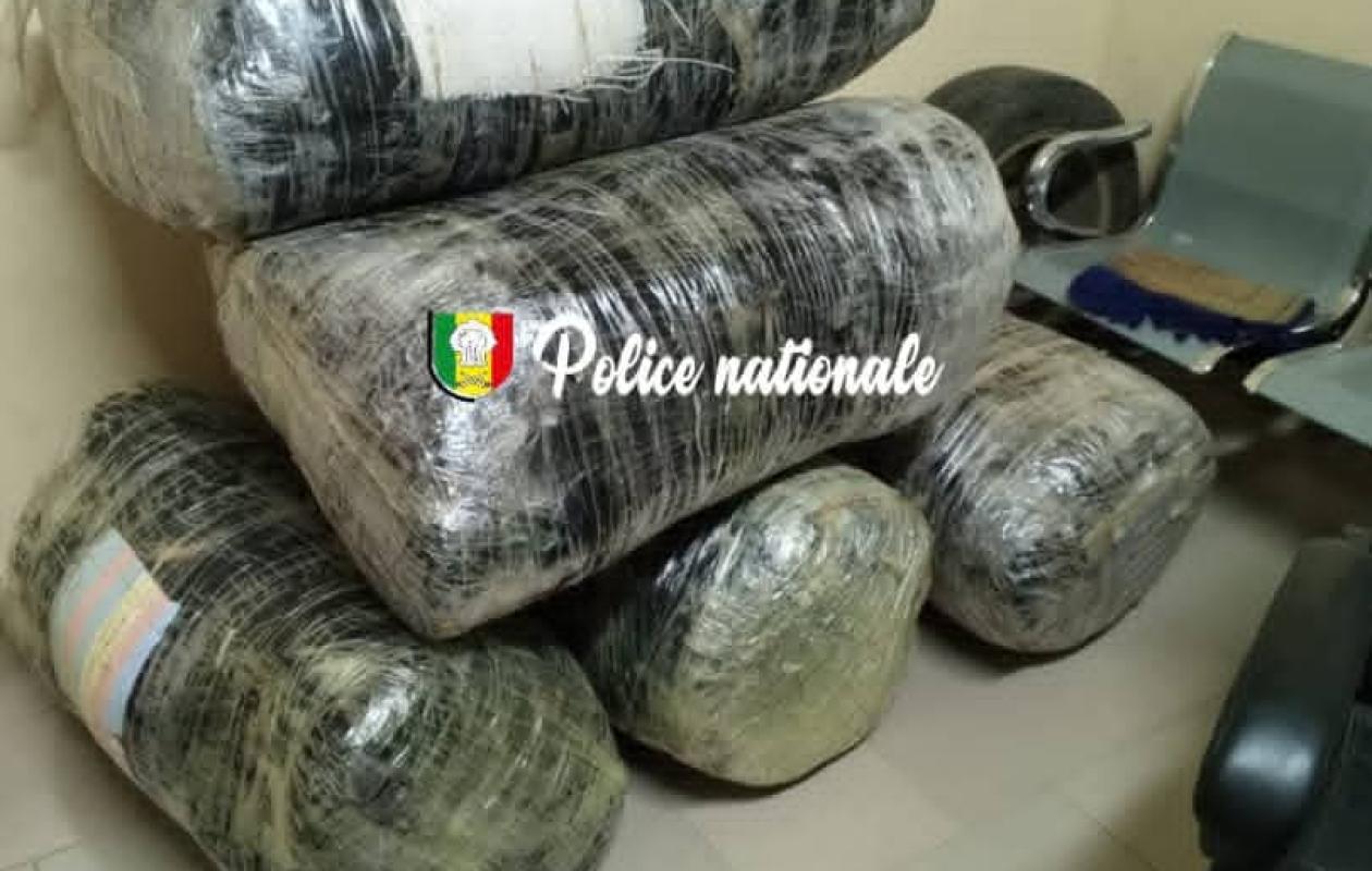 THIÈS : 169 kg de chanvre indien saisis par la police