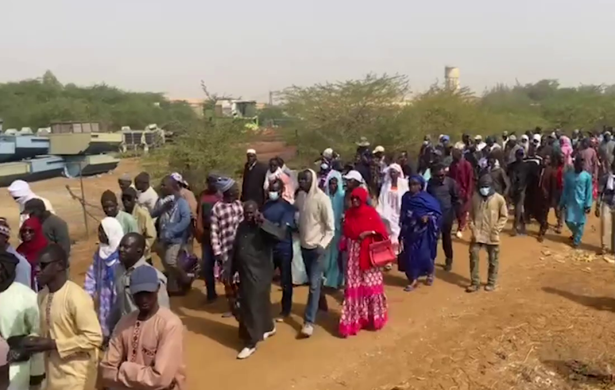 Mévente du riz dans le département de Dagana : la colère monte chez les producteurs de la vallée