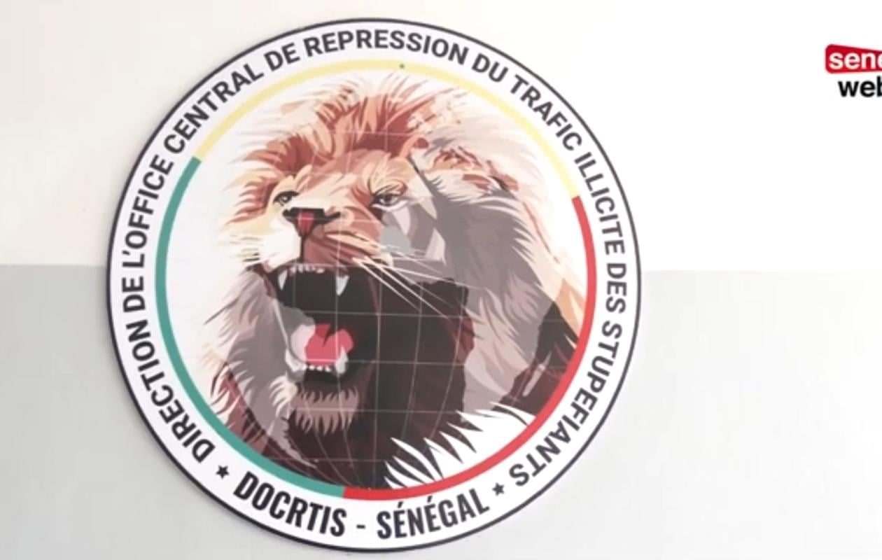 Trafic de drogue entre Sacré-Cœur et Almadies : Djibril Carter piégé par une commande policière