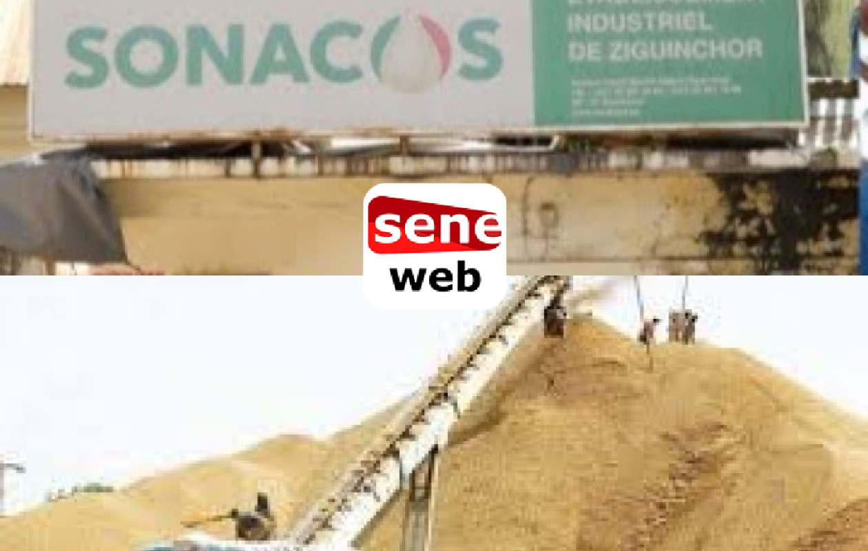 Drame à la Sonacos/Ziguinchor : Un jeune employé perd un pied et des doigts