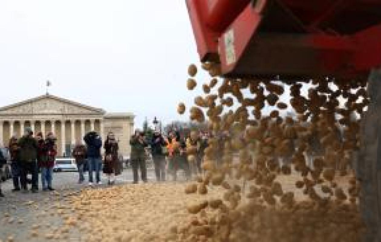 Colère des agriculteurs : des milliers de pommes de terre déversées devant l'Assemblée nationale (vidéo)