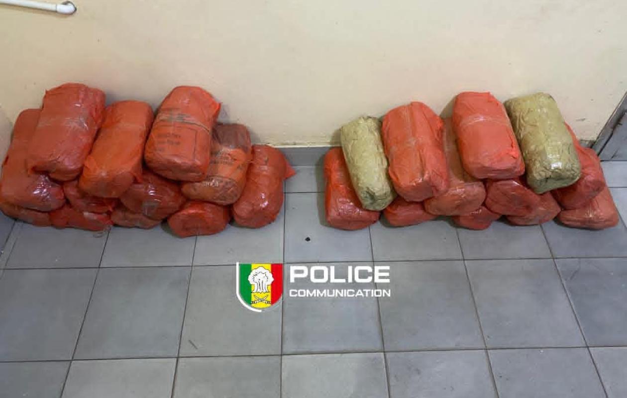 Fatick : Une importante quantité de chanvre indien saisie à Sirmang par la BRS