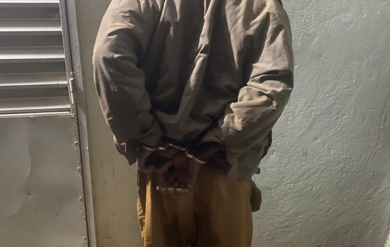 Kolda : Un boucher de 64 ans arrêté avec du Tramadol et 200 grammes de chanvre indien