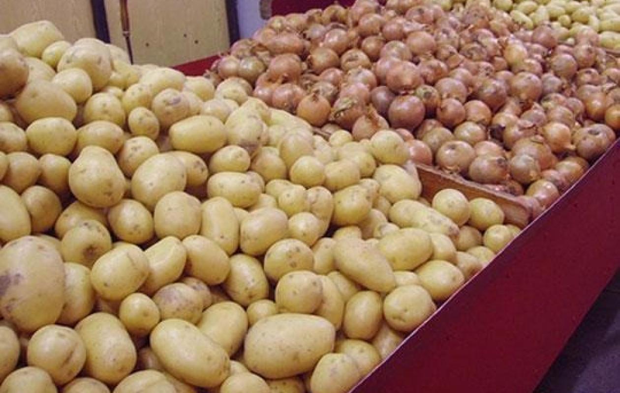 Le Sénégal gèle les importations de pomme de terre et d’oignon à partir du 16 janvier 2026