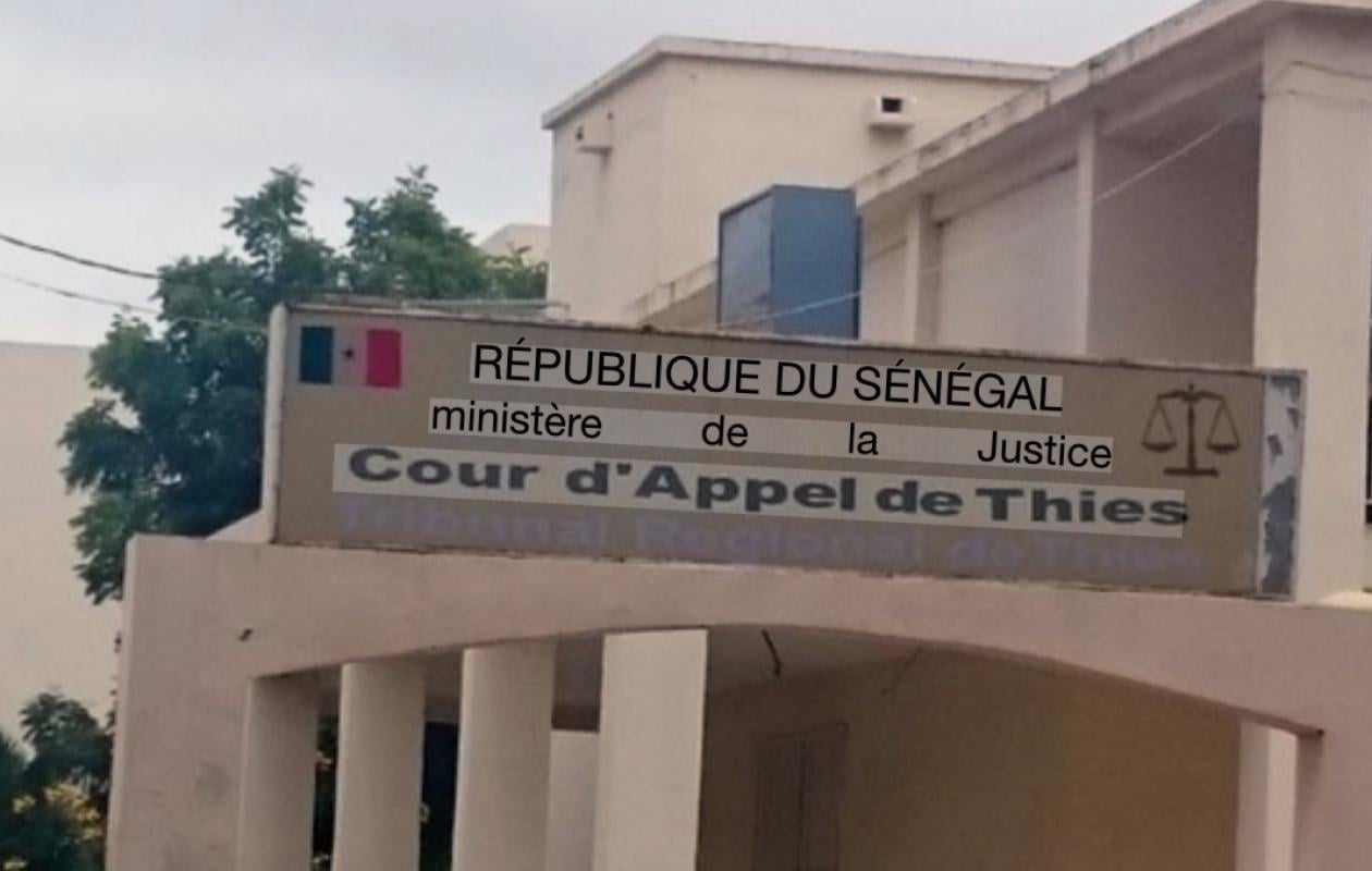 TGI DE THIÈS : Un charretier condamné à 4 mois de prison pour vol de câbles électriques aux ICS