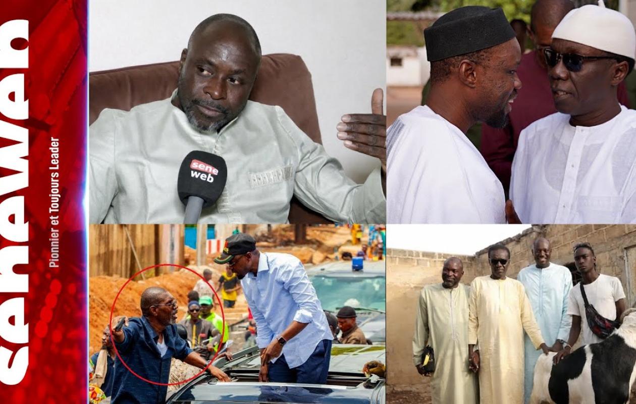 Colère de Serigne Habib Sy : Des sympathisants de Sonko recadrent Djiby Guèye Ndiaye