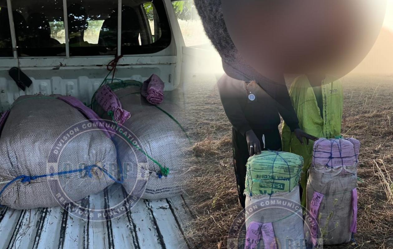 Wack Ngouna : La BR de Kaolack saisit 53 kg de drogue en provenance de Gambie et arrête 3 trafiquants