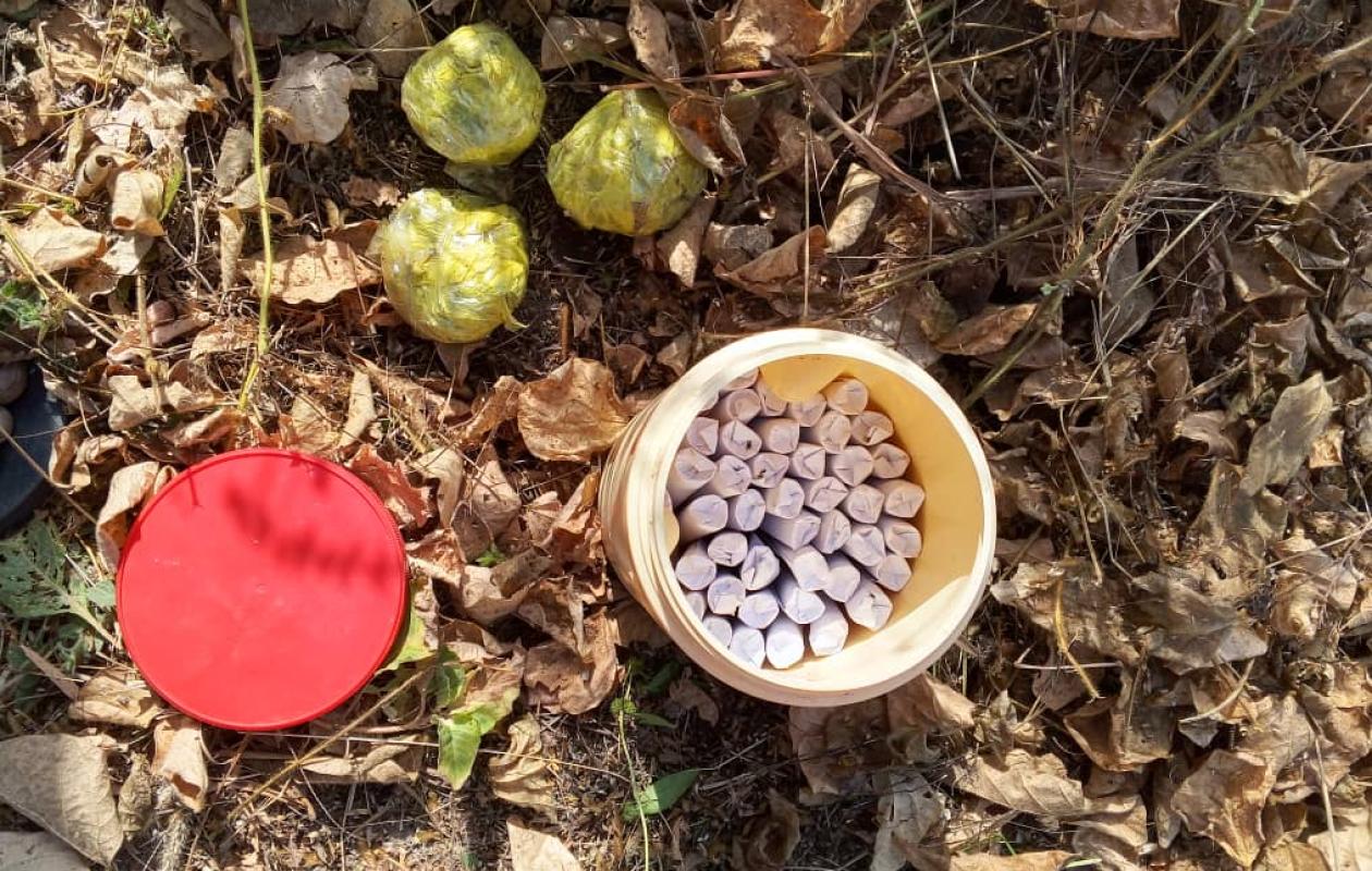 Sedhiou : Découverte insolite de chanvre indien dans le verger d'un militaire